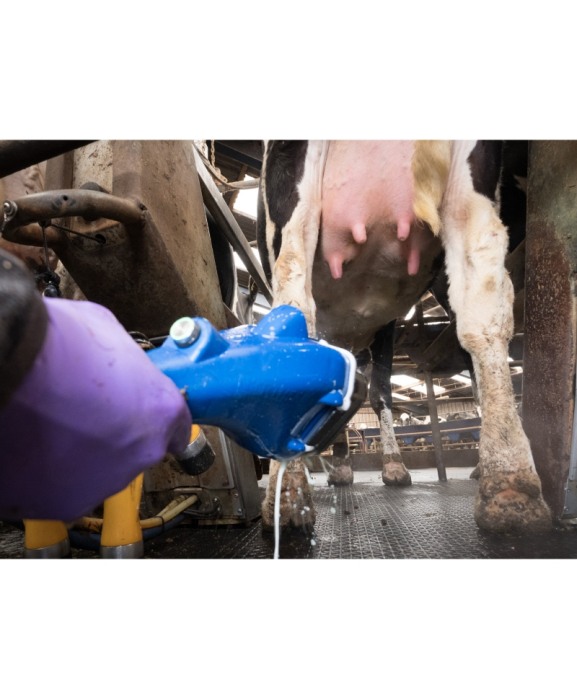 Perie curatare mameloane Northern Sanicleanse [11]