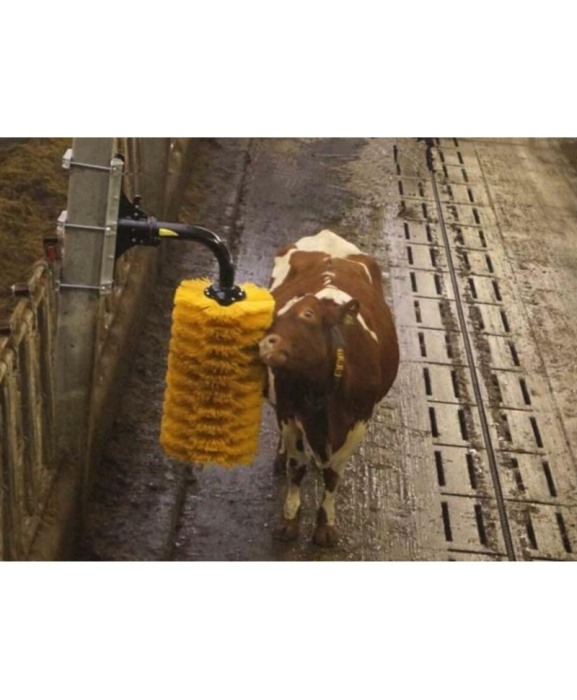 Perie scarpinat animale mecanica, oscilanta, EasySwing Maxi [12]