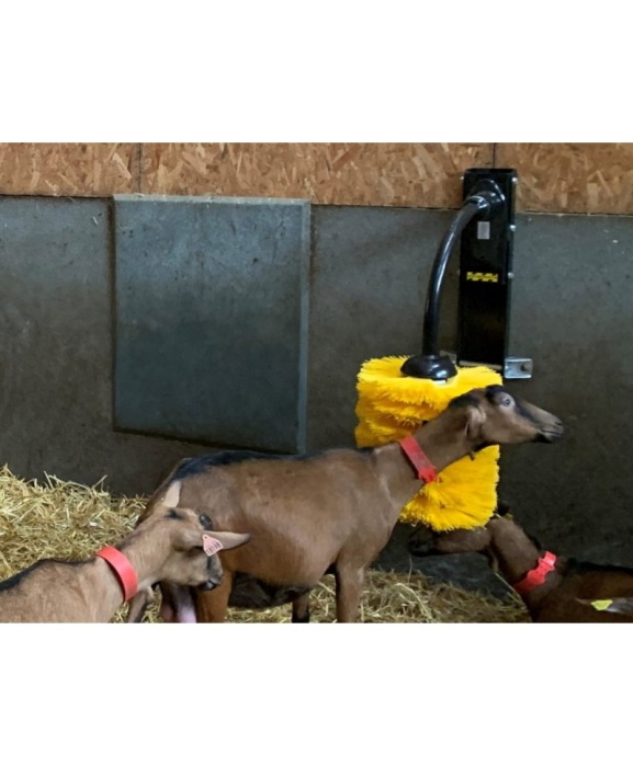 Perie scarpinat animale mecanica, oscilanta, EasySwing Midi [6]