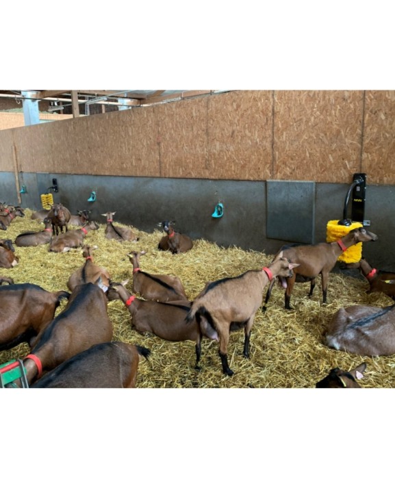 Perie scarpinat animale mecanica, oscilanta, EasySwing Midi [9]