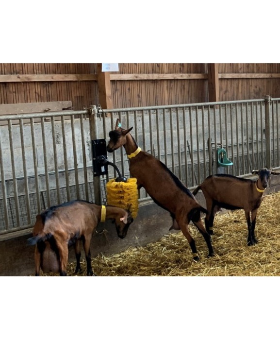 Perie scarpinat animale mecanica, oscilanta, EasySwing Mini [10]