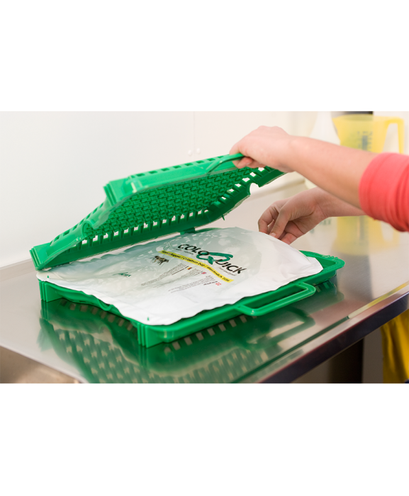 Pungi speciale coloQuick pentru depozitare colostru, cutie 125 bucati [2]