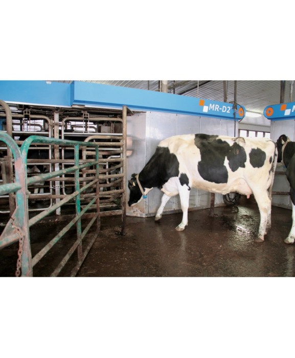 Robot de muls vaci BouMatic Gemini UP cu doua posturi [9]