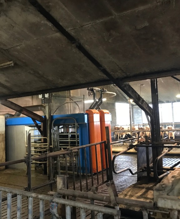 Robot de muls vaci BouMatic Gemini UP cu doua posturi [10]