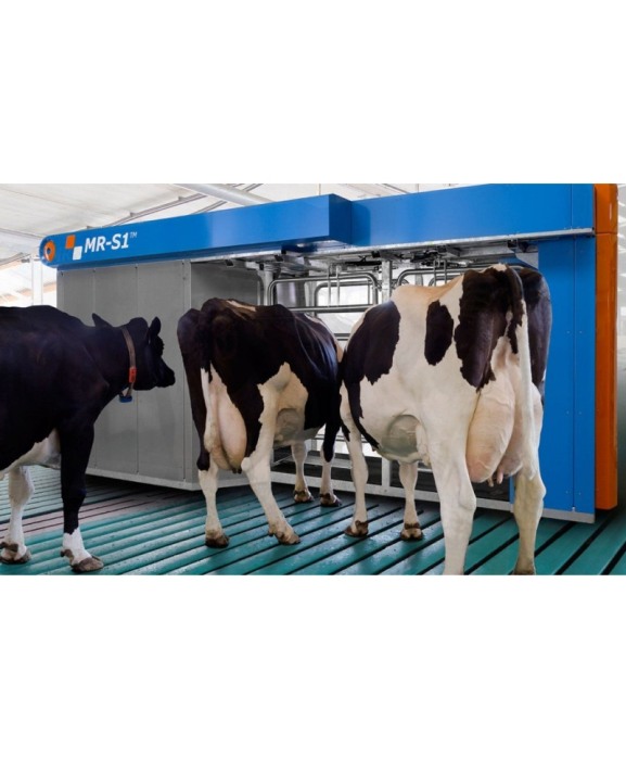 Robot de muls vaci BouMatic Gemini UP cu un post [23]