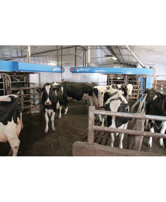 Robot de muls vaci BouMatic Gemini UP cu un post [18]