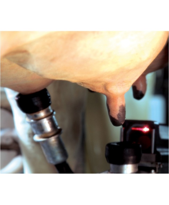 Robot de muls vaci BouMatic Gemini UP cu un post [4]