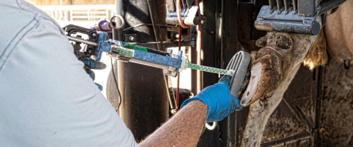 Sabot plastic flexibil pentru ongloane SmartBlock [5]