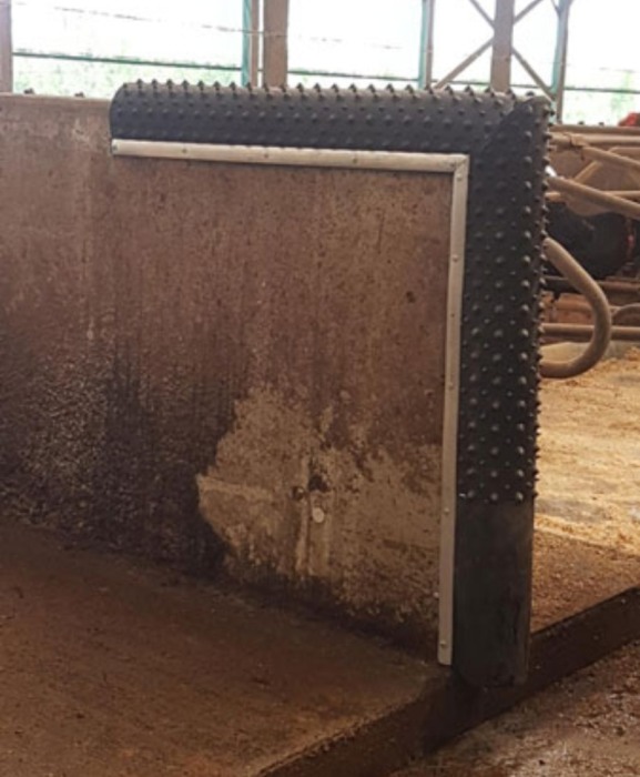 Scarpinatoare pentru vaci din cauciuc natural, Bioret Dairy Scratchy [4]