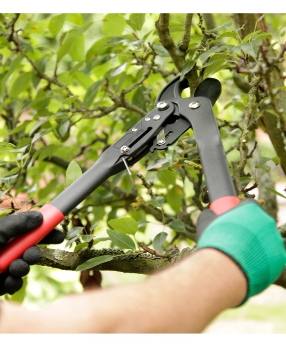 Set cadou cu doua foarfeci pentru crengi tip nicovala, Spear & Jackson Gift Sets [3]