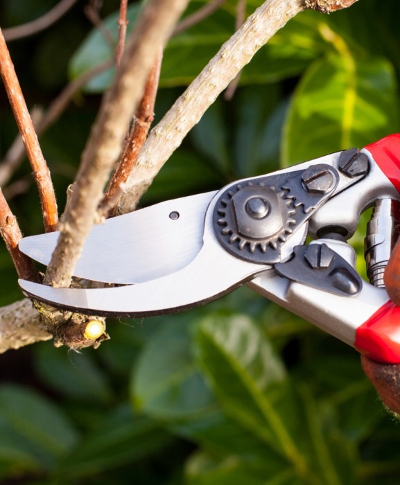 Set rezerva lama si arc cu lama inox, Spear & Jackson Razorsharp Pro [4]