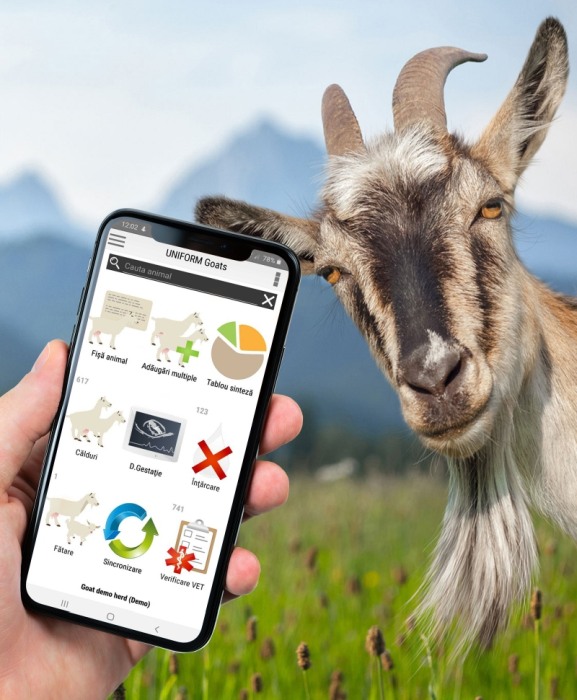 Sistem de management ferme capre Uniform Goat [2]