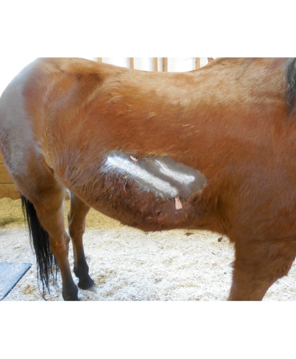 Spray aluminiu de uz veterinar pentru protectia ranilor, Excellent, tub 200 ml [3]