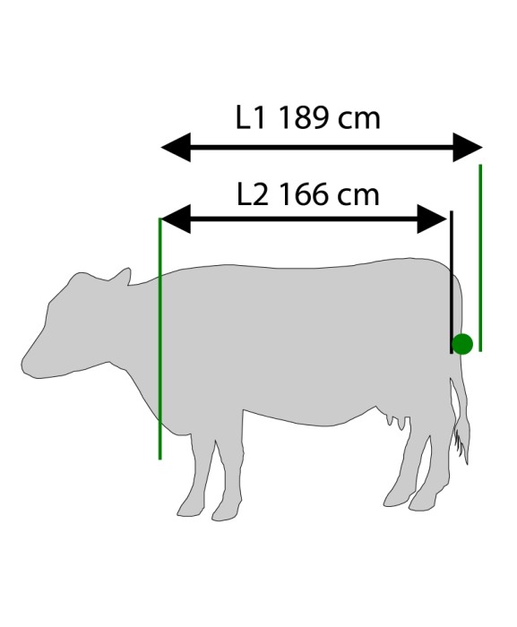 Stand trimaj ongloane vaci KVK 650-SP3, complet automatizat [7]