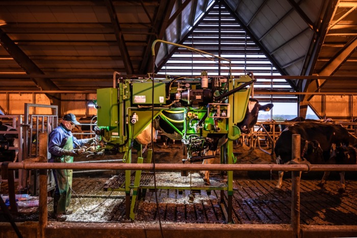 Stand trimaj ongloane vaci, model KVK 800-1, Heavy-Duty, complet automatizat [5]