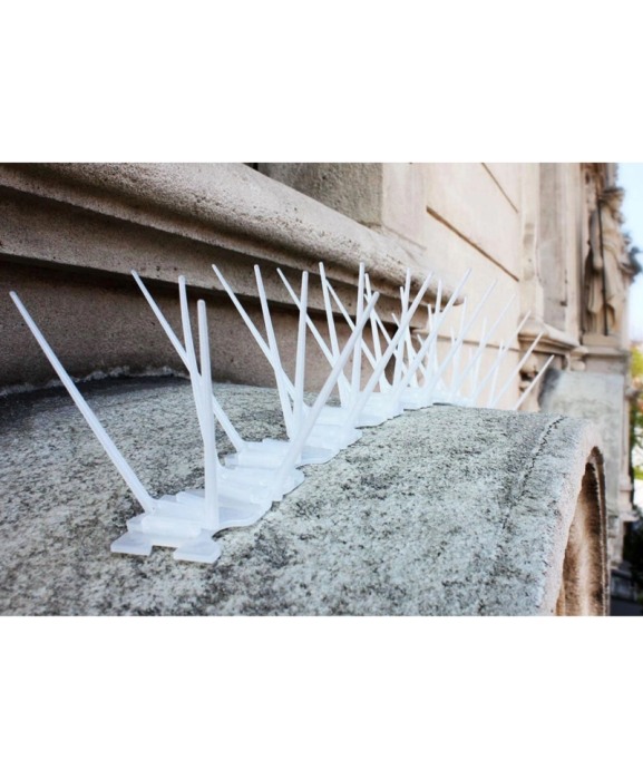 Tepi impotriva pasarilor, policarbonat transparent, 300cm, adeziv inclus, Swissinno Bird Spikes [5]