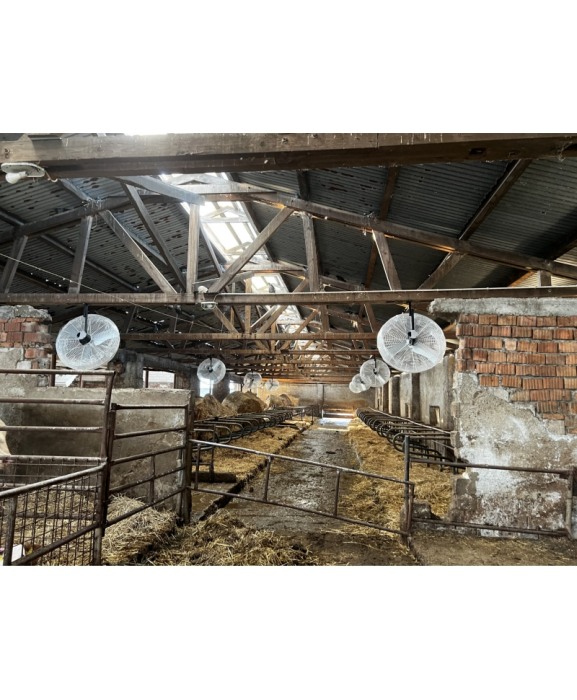 Ventilator VES-Artex Basket Fan 92 cm [3]