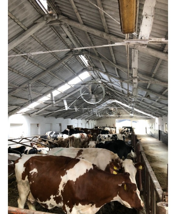 Ventilator VES-Artex Blast 127 cm [10]