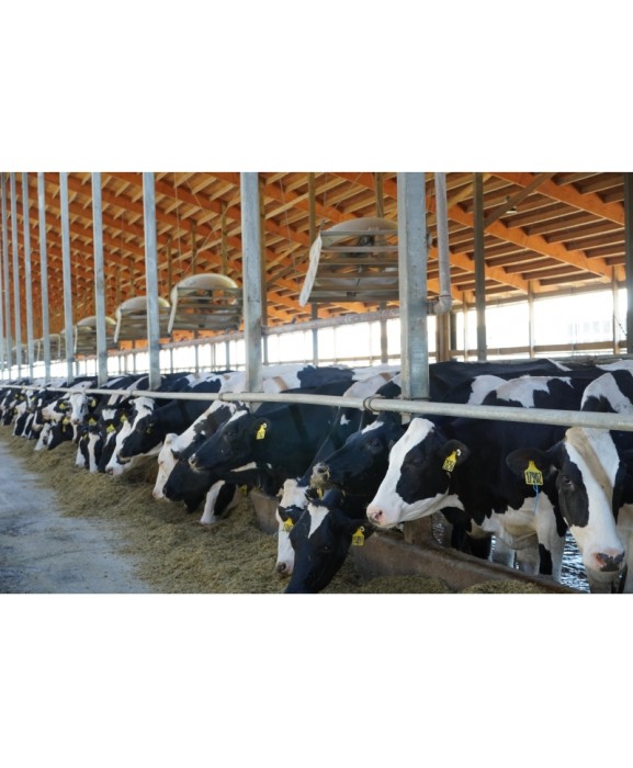 Ventilator VES-Artex ECVair 183 cm cu lame deflectoare ajustabile [5]