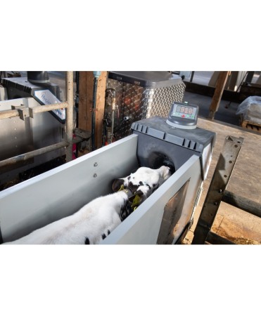 Automat alaptare vitei, Holm&Laue CalfExpert [22]