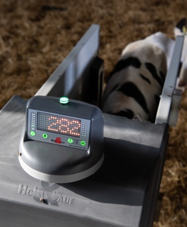 Automat alaptare vitei, Holm&Laue CalfExpert [23]