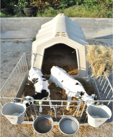 Boxa comuna pentru 2-3 vitei, Calf-Tel TwinHutch cu FlexyFence H&L [2]