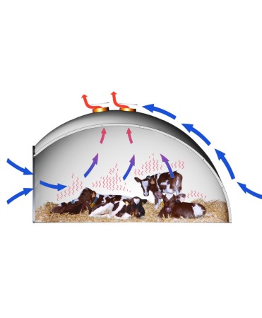 Boxa comuna vitei tip iglu, H&L, din fibra de sticla [1]