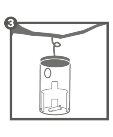 Capcana cu feromoni pentru molii arbusti Buxus, Swissinno Box Tree Moth [8]