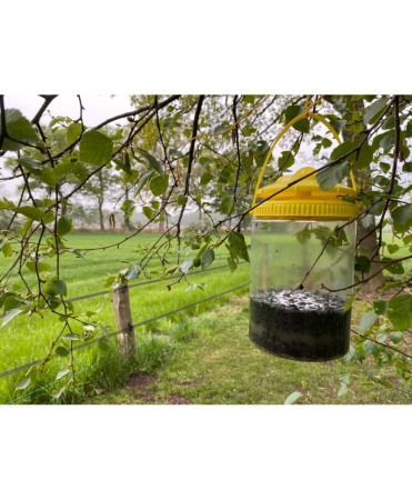 Capcana cu momeala FlyNip pentru muste, Knock Off FlyTrap [1]