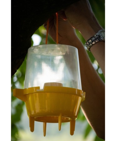 Capcana cu momeala pentru viespi, Knock Off Wasp Trap [1]
