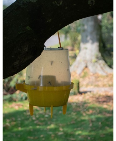 Capcana cu momeala pentru viespi, Knock Off Wasp Trap [3]