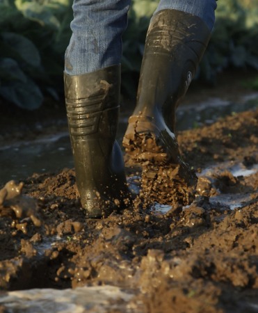 Cizme protectie Bekina StepliteX SolidGrip, S5, verde/negru [17]