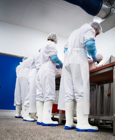 Cizme protectie Bekina StepliteX ThermoProtec, S4, alb/albastru [15]