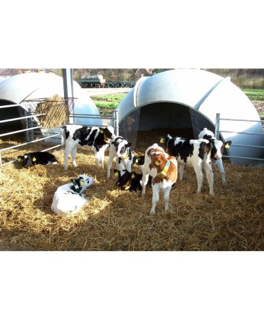 Cortina PVC pentru Igloo H&L [1]