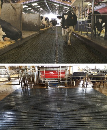 Sanatate si confort animale - Covor de trafic din cauciuc cu canale de scurgere, Bioret MAGELLAN, 16mm grosime