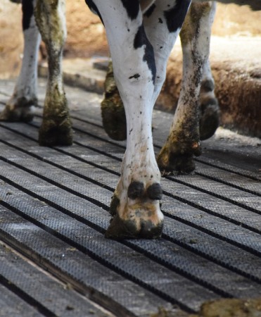Covor de trafic din cauciuc cu canale de scurgere, Bioret MAGELLAN, 16mm grosime [2]