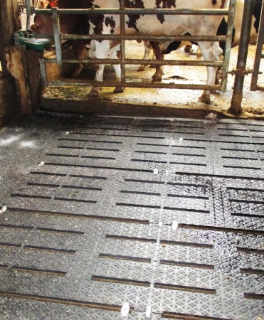 Sanatate si confort animale - Covor de trafic din cauciuc pentru aleile cu gratare de beton, Bioret DeltaDiam 16 Type PANAMA, 16mm grosime