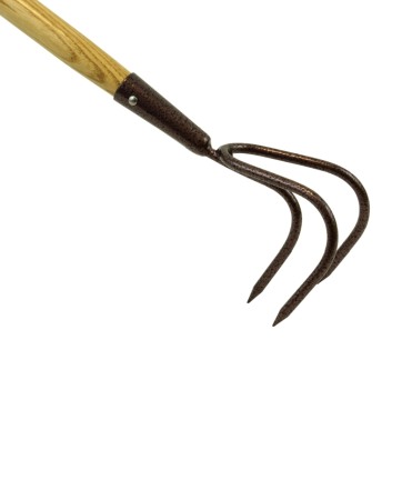 Cultivator cu 3 dinti din otel carbon, coada lemn, Spear & Jackson Elements [3]