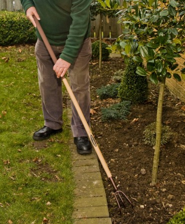 Cultivator cu 3 dinti din otel carbon, coada lemn, Spear & Jackson Elements [6]