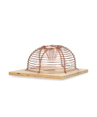 Cusca metalica clasica capturare soareci, rotunda, cu o intrare, Swissinno Mouse Cage Round Classic [1]