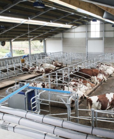 Cuseta beton standard, Cobefa Standard Lying Box, H23 [3]