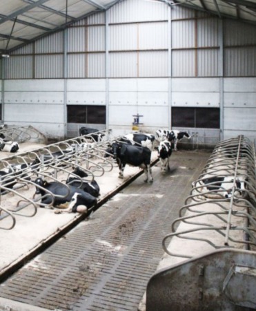 Cuseta beton standard, Cobefa Standard Lying Box, H23 [4]