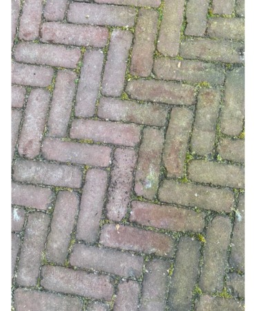 Detergent suprafete, Excellent Green Clear, bidon 5 litri [1]