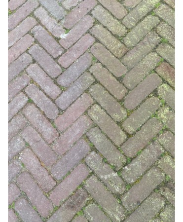 Detergent suprafete, Excellent Green Clear, bidon 5 litri [2]