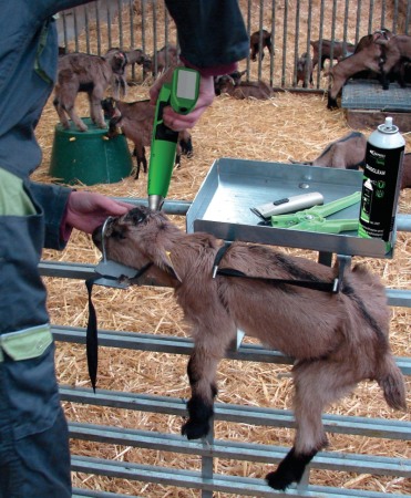 Dispozitiv contentionare iezi Express Farming [1]