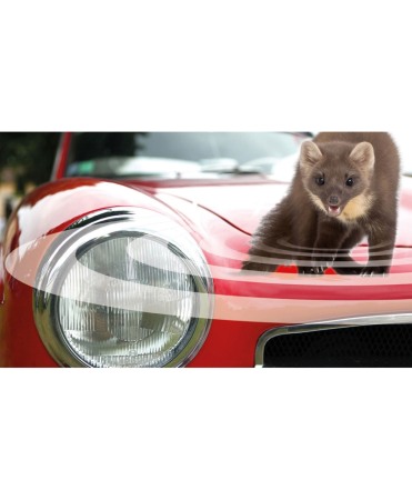 Dispozitiv cu ultrasunete pentru alungarea jderilor de sub capota masinii, Swissinno Ultrasonic Marten Stop [5]