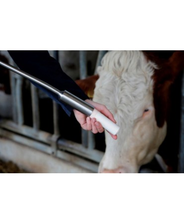 Dispozitiv pentru introducerea bolusurilor ruminale de dimensiuni mari in vaci [1]