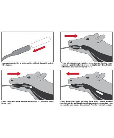 Dispozitiv pentru introducerea bolusurilor ruminale in vaci [3]