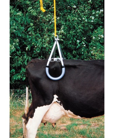 Dispozitiv ridicare vaci, VINK [2]