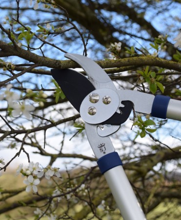 Foarfeca crengi tip bypass cu lama inox, maner aluminiu, transmisie cu roti dintate, Spear & Jackson Razorsharp Advance [2]